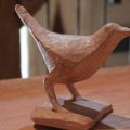 Amsel 1